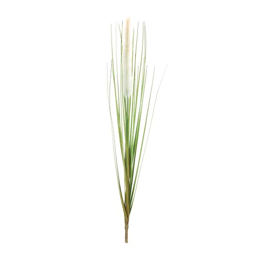 20" Foxtail Bushes, 12ct.
